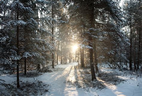 Winter wonderland with holiday magic